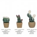 Arizona vaso con cactus in ceramica Rituali Domestici