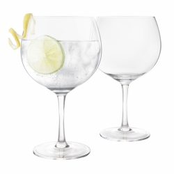 Touch gin glasses Maryleb