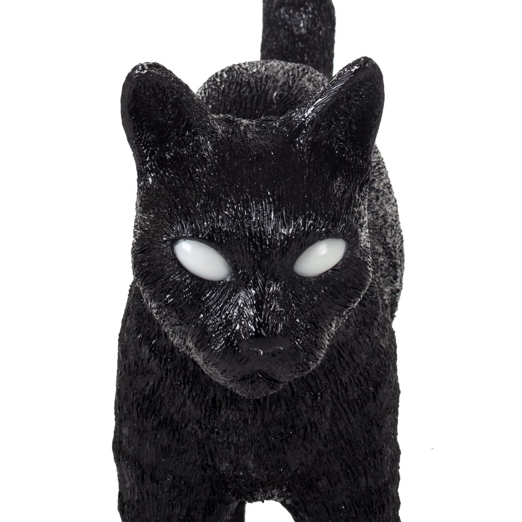 Jobby the cat blow by job & seletti