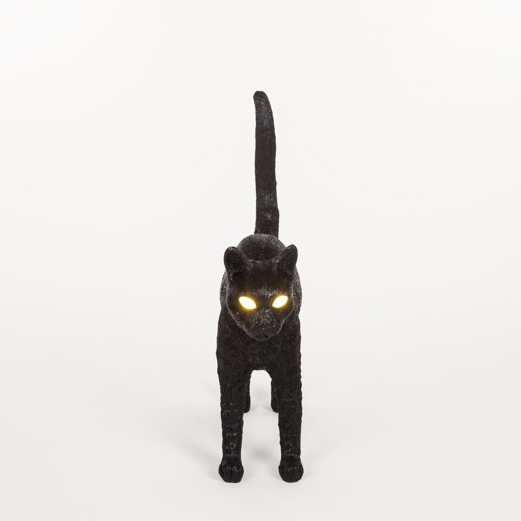 Jobby the cat blow by job & seletti