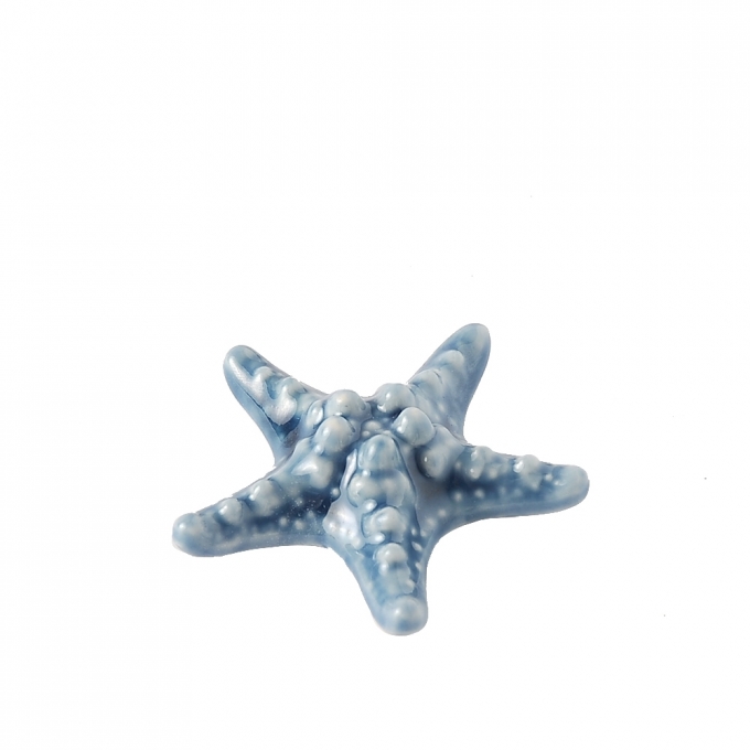 Box 6 stelle marine porcellana blu 6cm Hervit