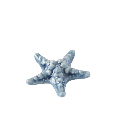 Box 6 stelle marine porcellana blu 6cm Hervit