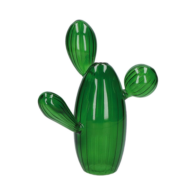 Baloon vaso cactus dody rituali domestici