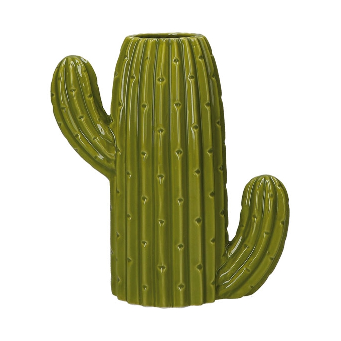 Messico Vaso Cactus S Rituali Domestici