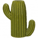 Messico Vaso Cactus S Rituali Domestici
