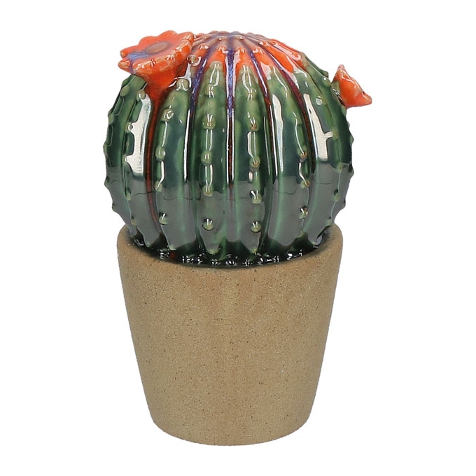 Arizona Vaso Cactus I Rituali Domestici