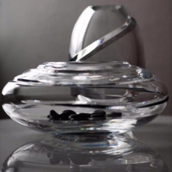 Centrotavola cristal sevres...