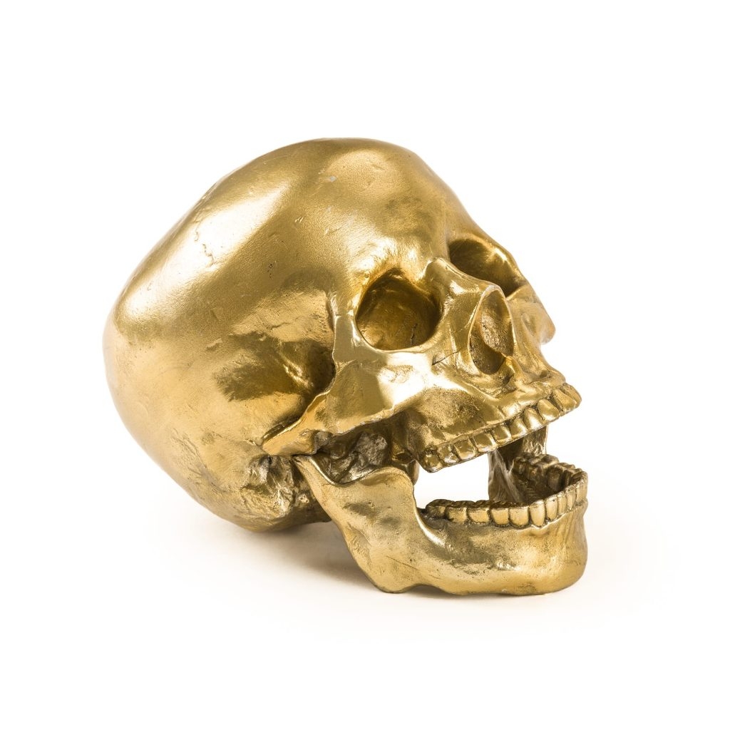 Teschio in alluminio diesel-human skull seletti