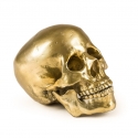Teschio In Alluminio Diesel-Human Skull Seletti