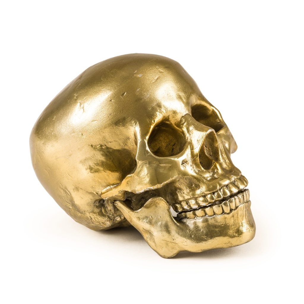Teschio in alluminio diesel-human skull seletti