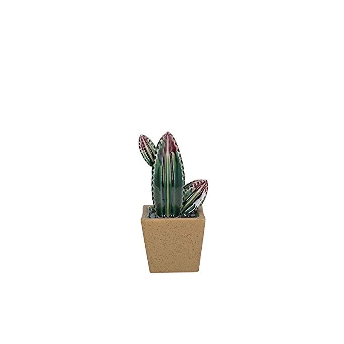 Arizona vaso con cactus in ceramica Rituali Domestici