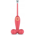 firebird 2.0,accessorio casa p alessi