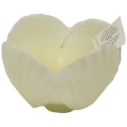 Candela conchiglie avorio EDG