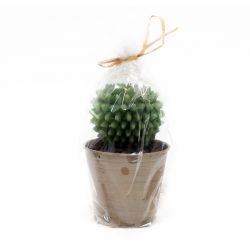 Candela cactus con vaso Edg