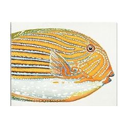 Quadro yellow fish 50x40 cm...