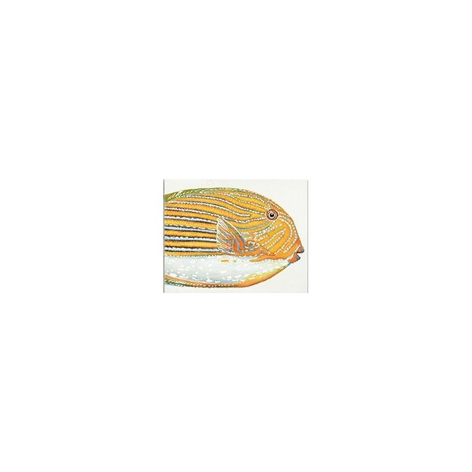 Quadro yellow fish 50x40 cm Agave