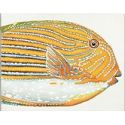 Quadro yellow fish 50x40 cm Agave