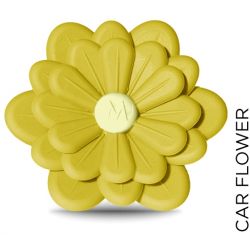 Car Flower Giallo-Lemon Fritz 