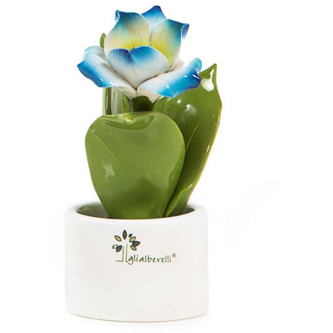 Piantina natura mignon fiore elleboro Gli Alberelli