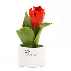 PIANTINA NATURA MIGNON FIORE TULIPANO