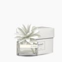 Flower Diffuser 30Ml Iris Cirpiato