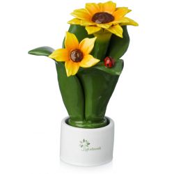 Pianta Natura 2 Fiori Girasole Gli Alberelli