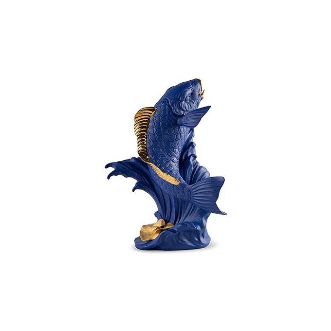 Guacamayo Nero e Oro lladro