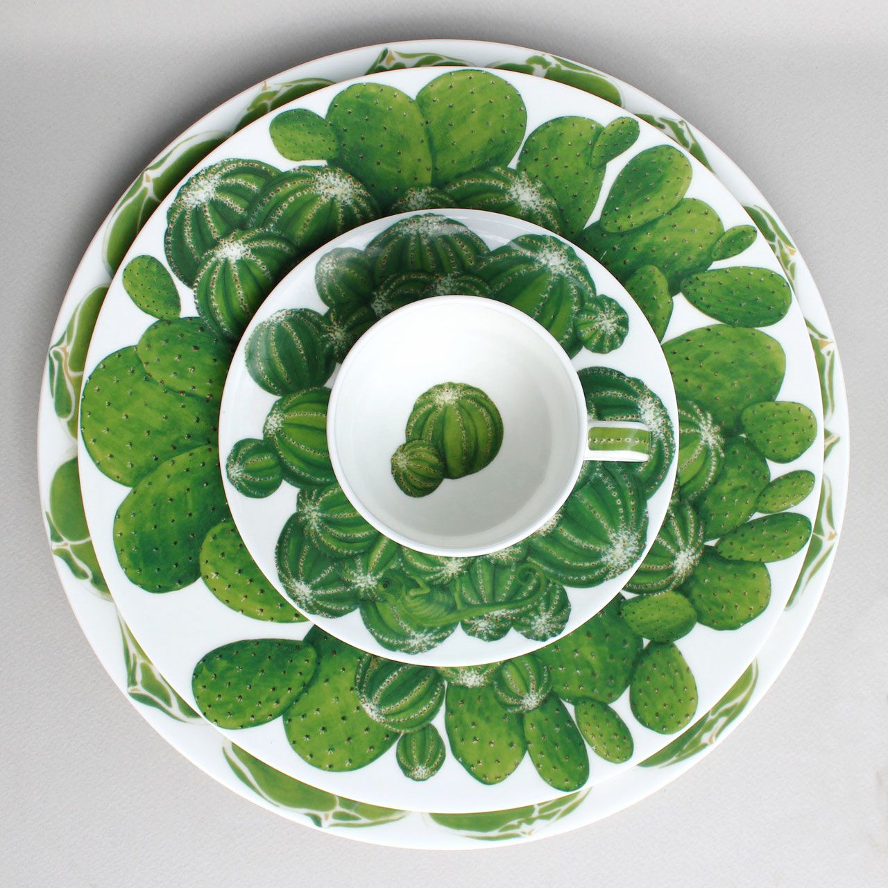 Set piatti in porcellana 12 pezzi Cactus Taitu