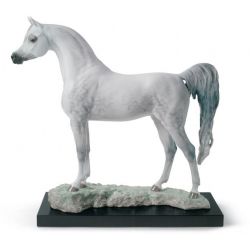 Statua cavallo pura razza...