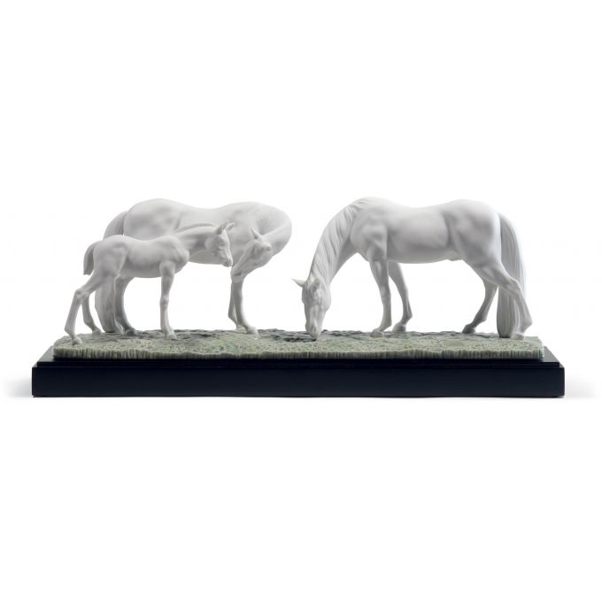 Statua Cavalli Nel Prato Lladrò