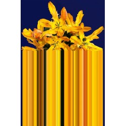 Tappeto Glitch Yellow Rectangular Yellow Rectangular