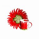 Red Pepper set 4 tazze espresso con piattino Taitu