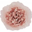 Fiore Malva Grande Mami Milano