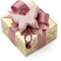 Box Carat Gold 11X11X5,5Cm Farfalla Rosa Hervit
