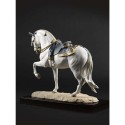 Pura Razza Spagnolo Lladro