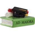 Libro Con Tocco E Pergamena 8X6 Egan