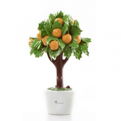 Albero grande arancio Gli...
