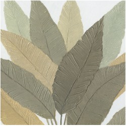 Calathea 100 x 100 Agave