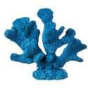 Corallo Blu L'Oca Nera