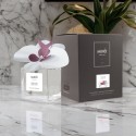 Diffusore orchidea 100ml bianca fiori di cotone  Muhà