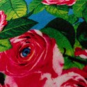 Tappeto Cucina   Roses With Eyes  Toiletpaper Home