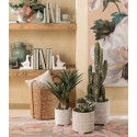 Fermalibri Ora Del The Salvia- Set 2 Pz