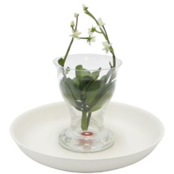 Vaso Trasparente Basso Su...
