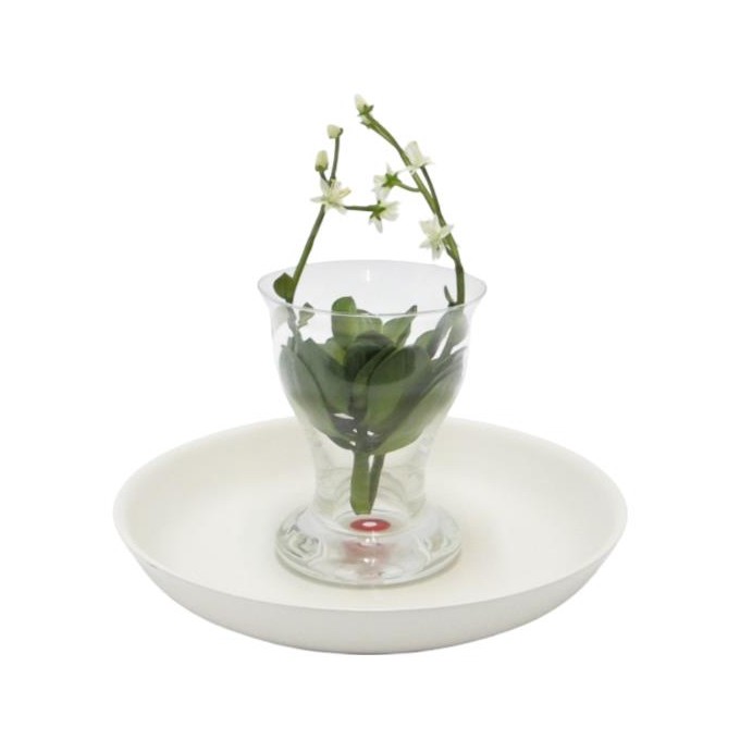 Vaso Trasparente Basso Su Piatto
