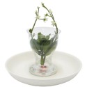 Vaso Trasparente Basso Su Piatto