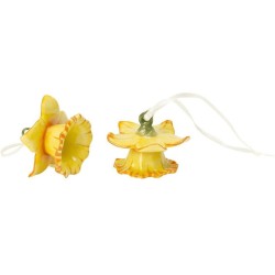 Mini Flower Bells Narciso...