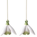 Mini Flower Bells Bucaneve, set 2pz