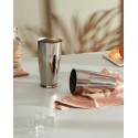 Shaker Inox