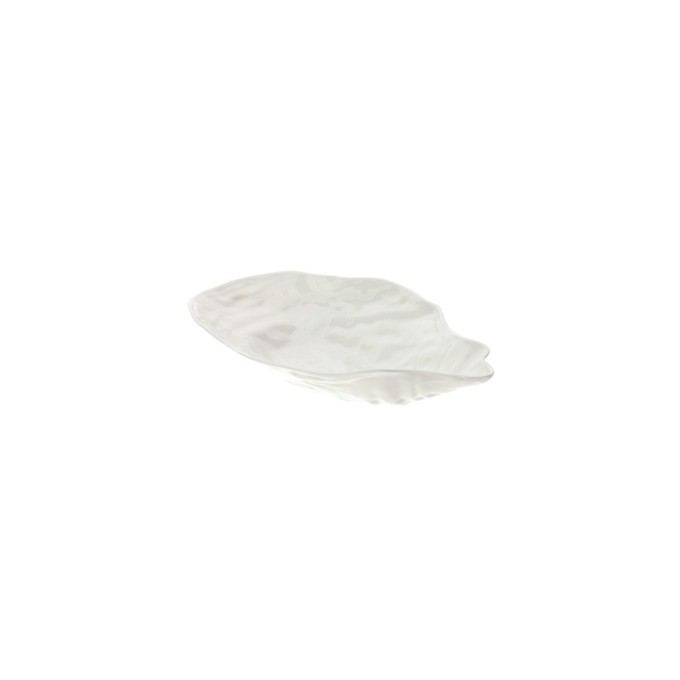 Ciotola Oyster 