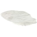 Ciotola Oyster 